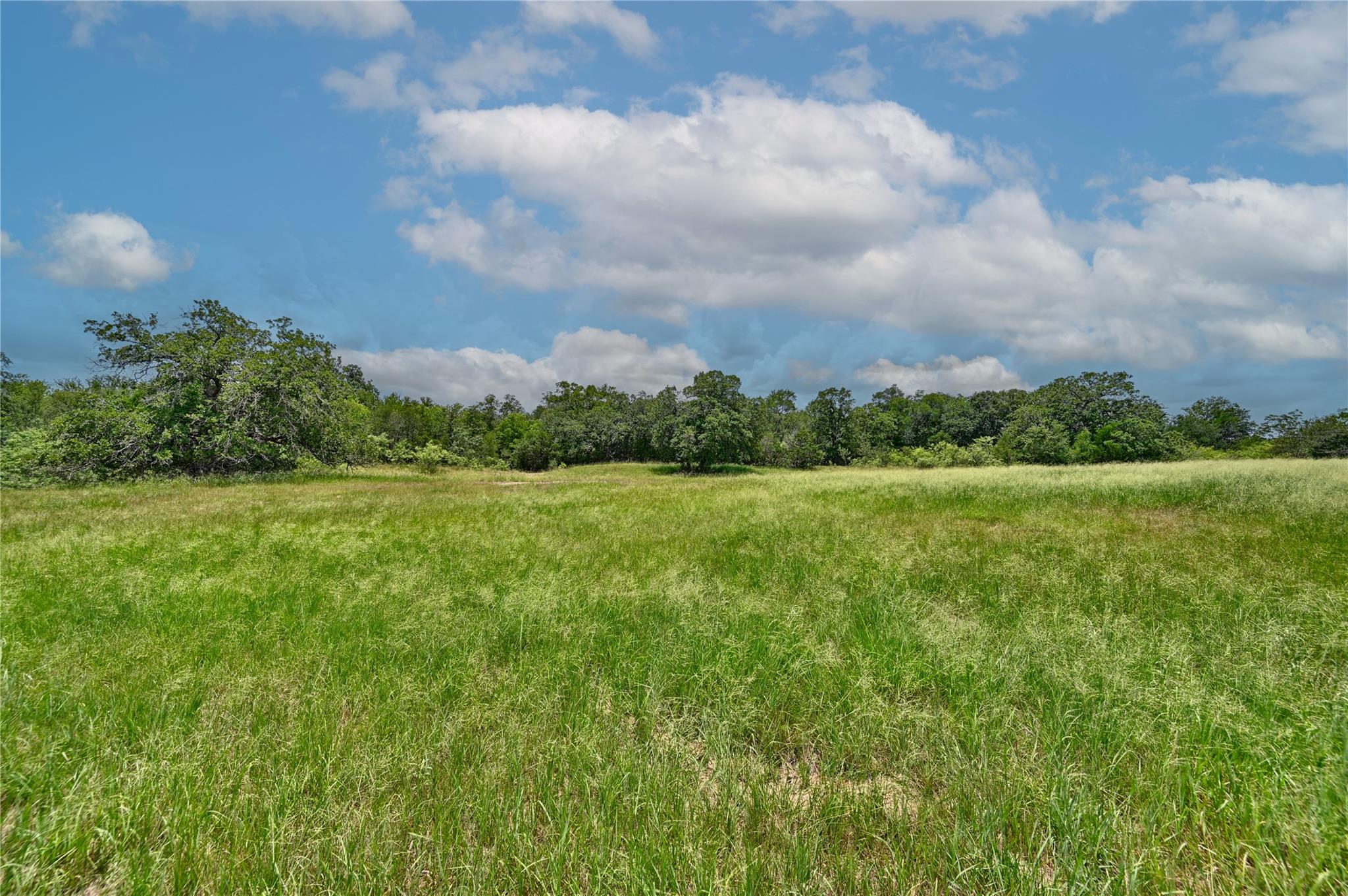 159 Starlight Path, Red Rock, TX 78662