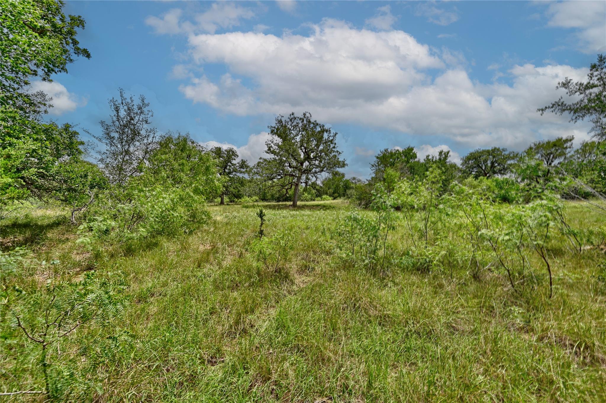 159 Starlight Path, Red Rock, TX 78662