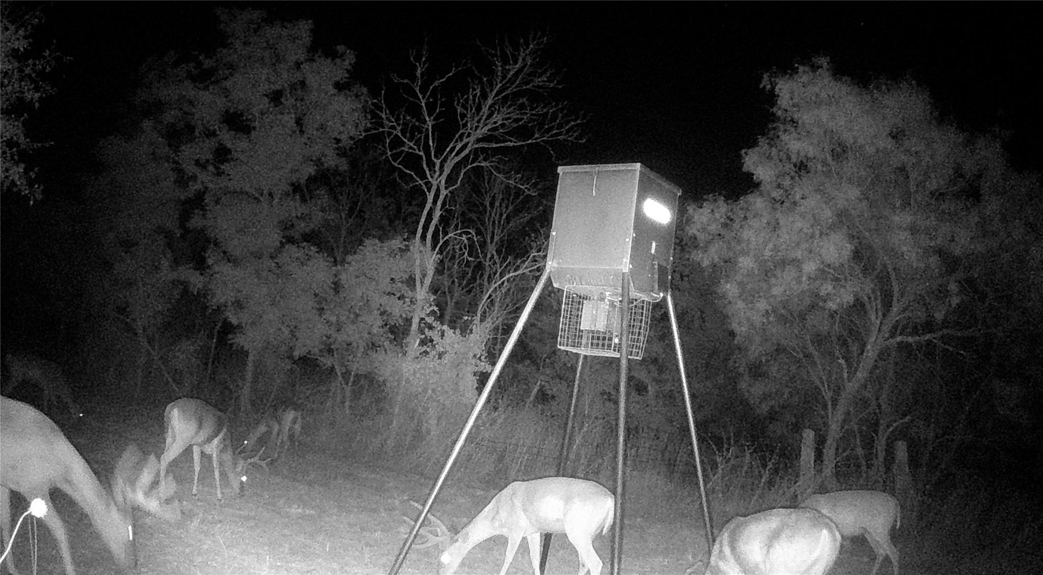 21255 FM 580 W, Bend, TX 76824