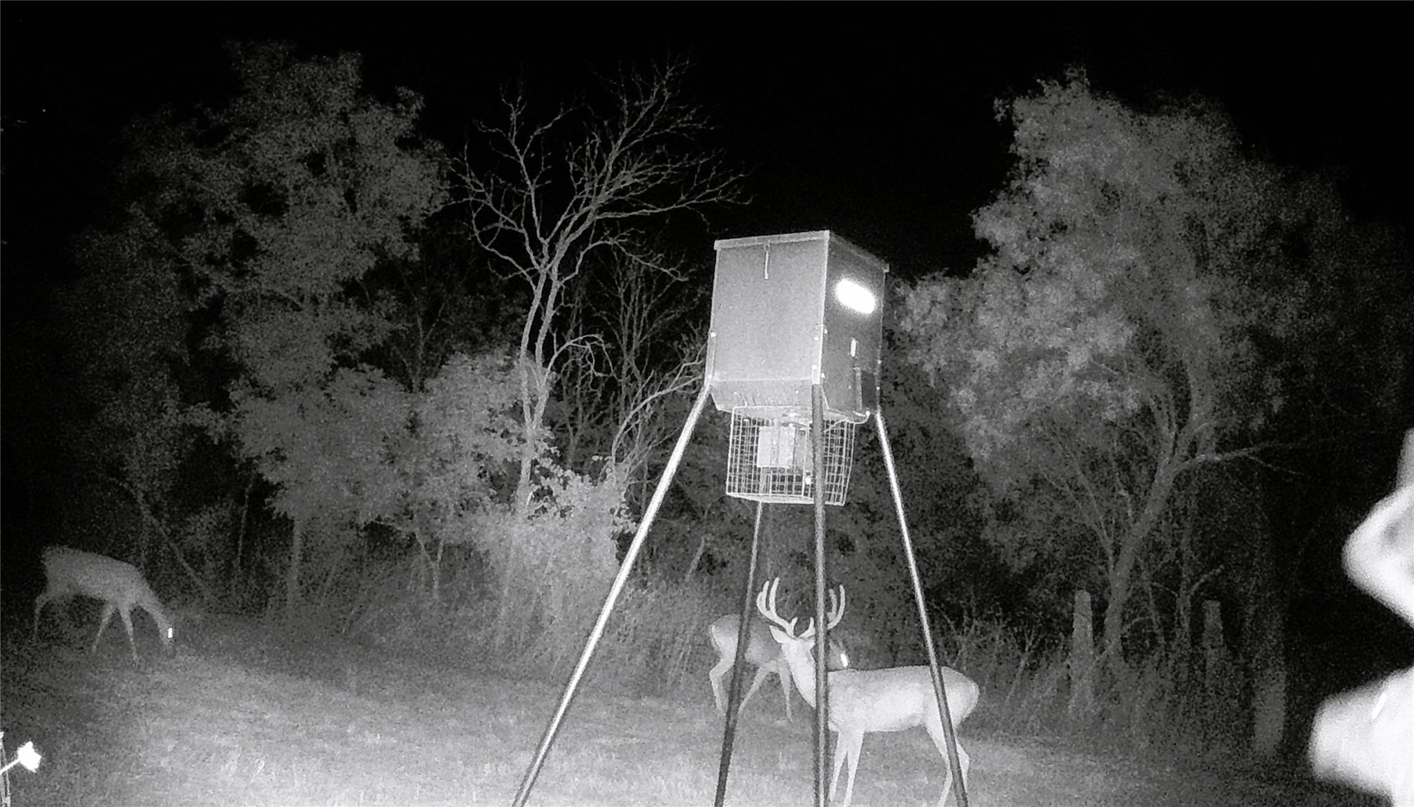 21255 FM 580 W, Bend, TX 76824