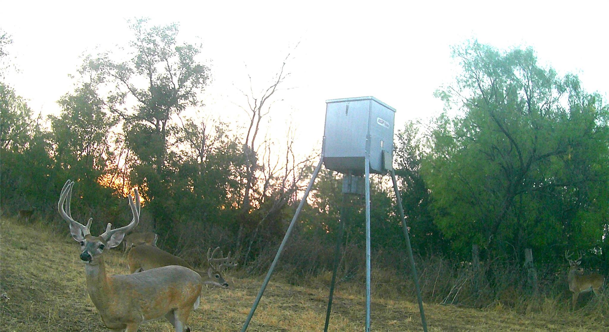 21255 FM 580 W, Bend, TX 76824