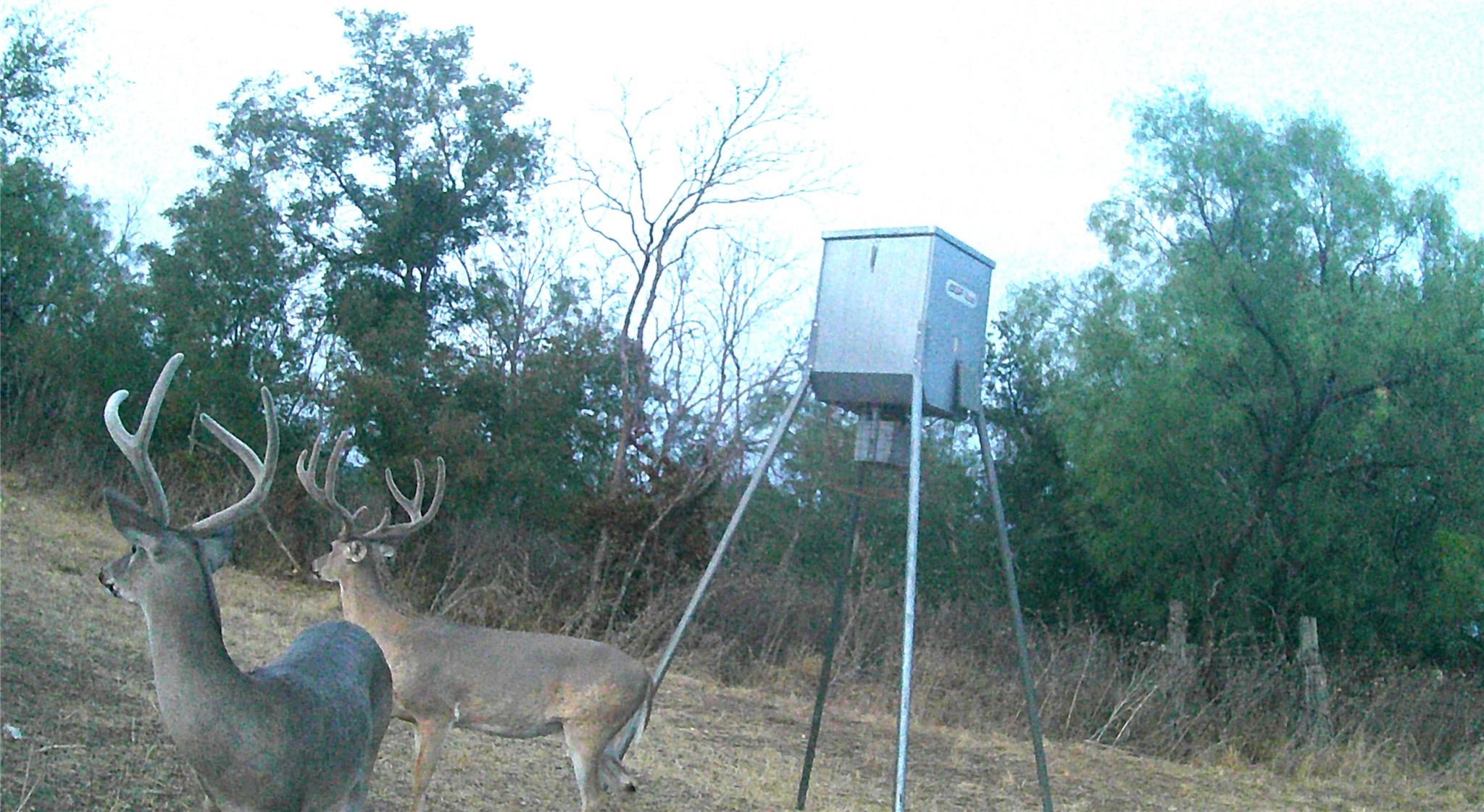 21255 FM 580 W, Bend, TX 76824