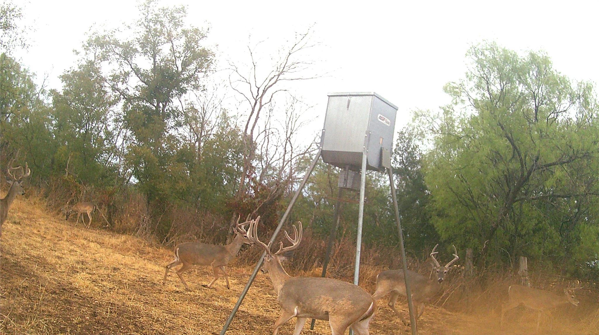 21255 FM 580 W, Bend, TX 76824