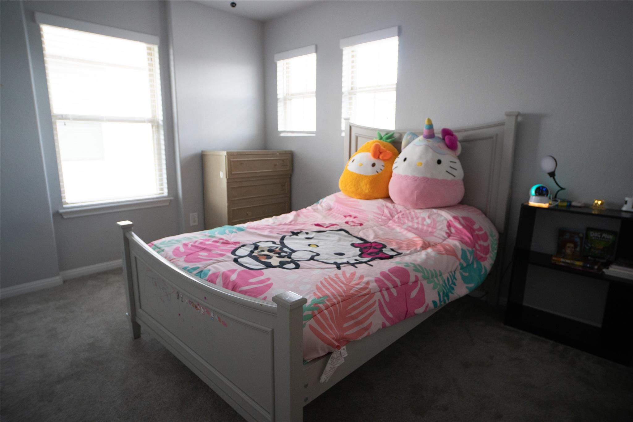 160 Shearwater Ln, Leander, TX 78641