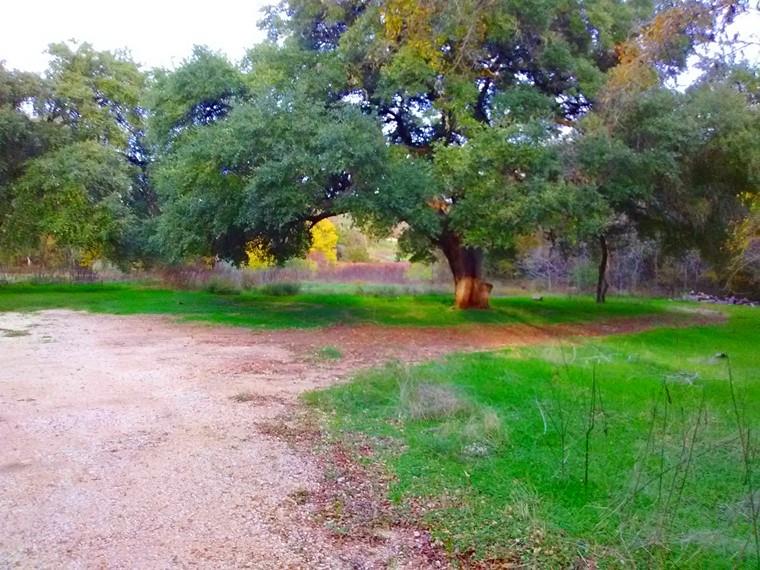 135 Powell Rd, Smithville, TX 78957
