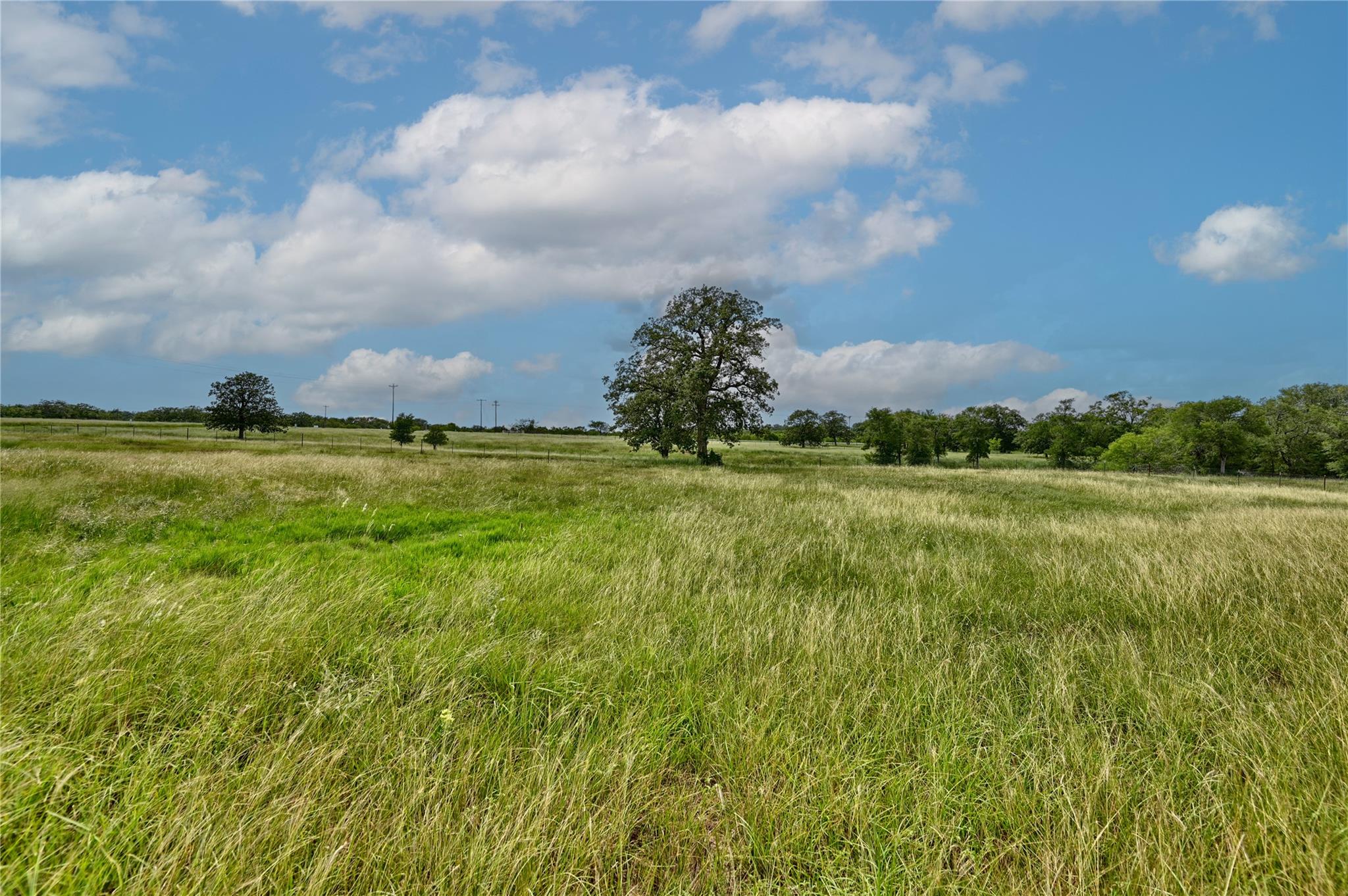 124 Sunny Day Dr, Red Rock, TX 78662