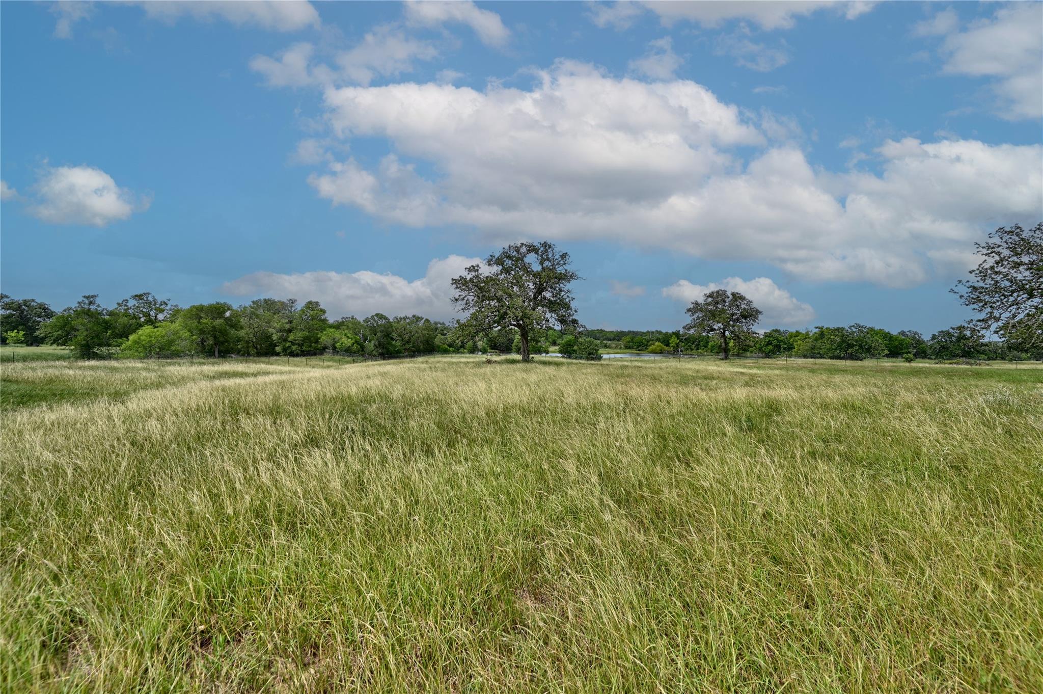 124 Sunny Day Dr, Red Rock, TX 78662