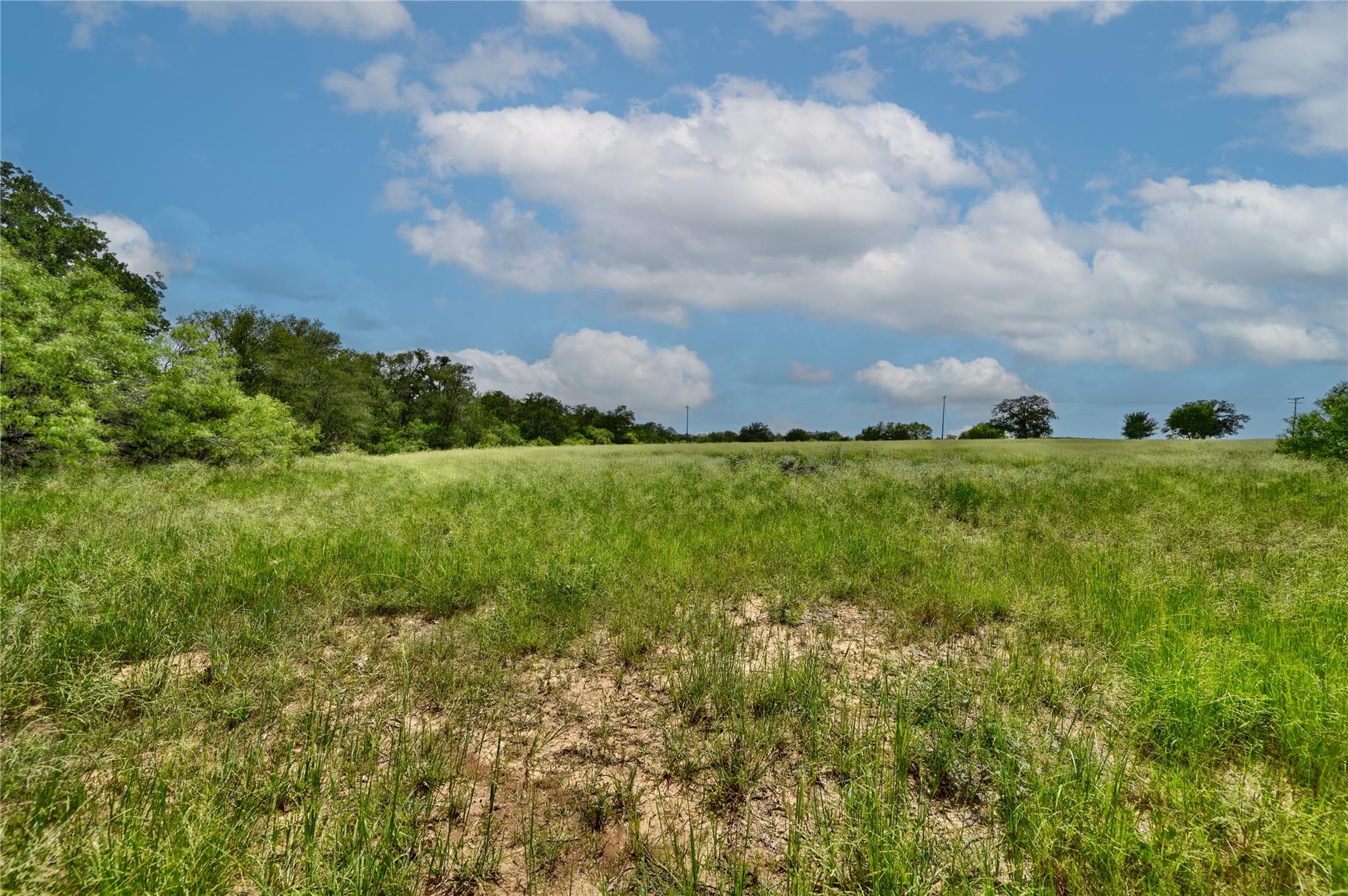 166 Sunny Day Dr, Red Rock, TX 78662