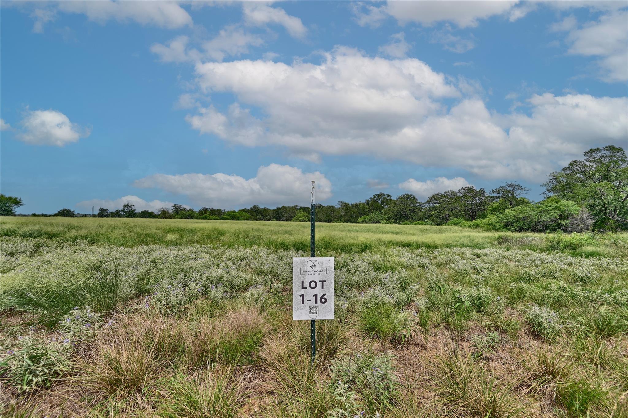 166 Sunny Day Dr, Red Rock, TX 78662