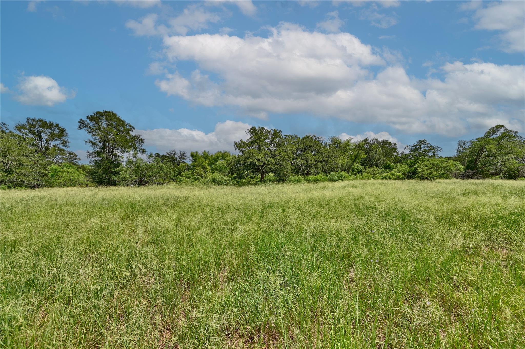 166 Sunny Day Dr, Red Rock, TX 78662