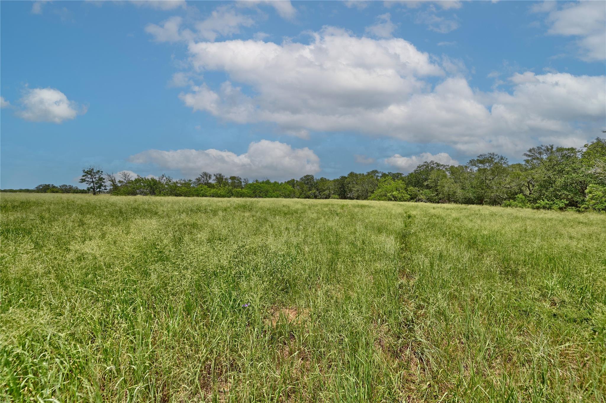 166 Sunny Day Dr, Red Rock, TX 78662