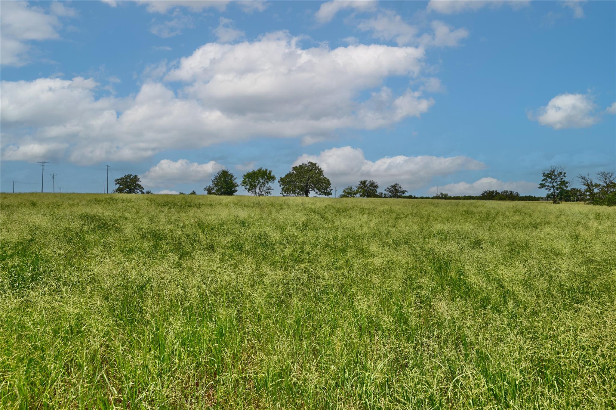 166 Sunny Day Dr, Red Rock, TX 78662