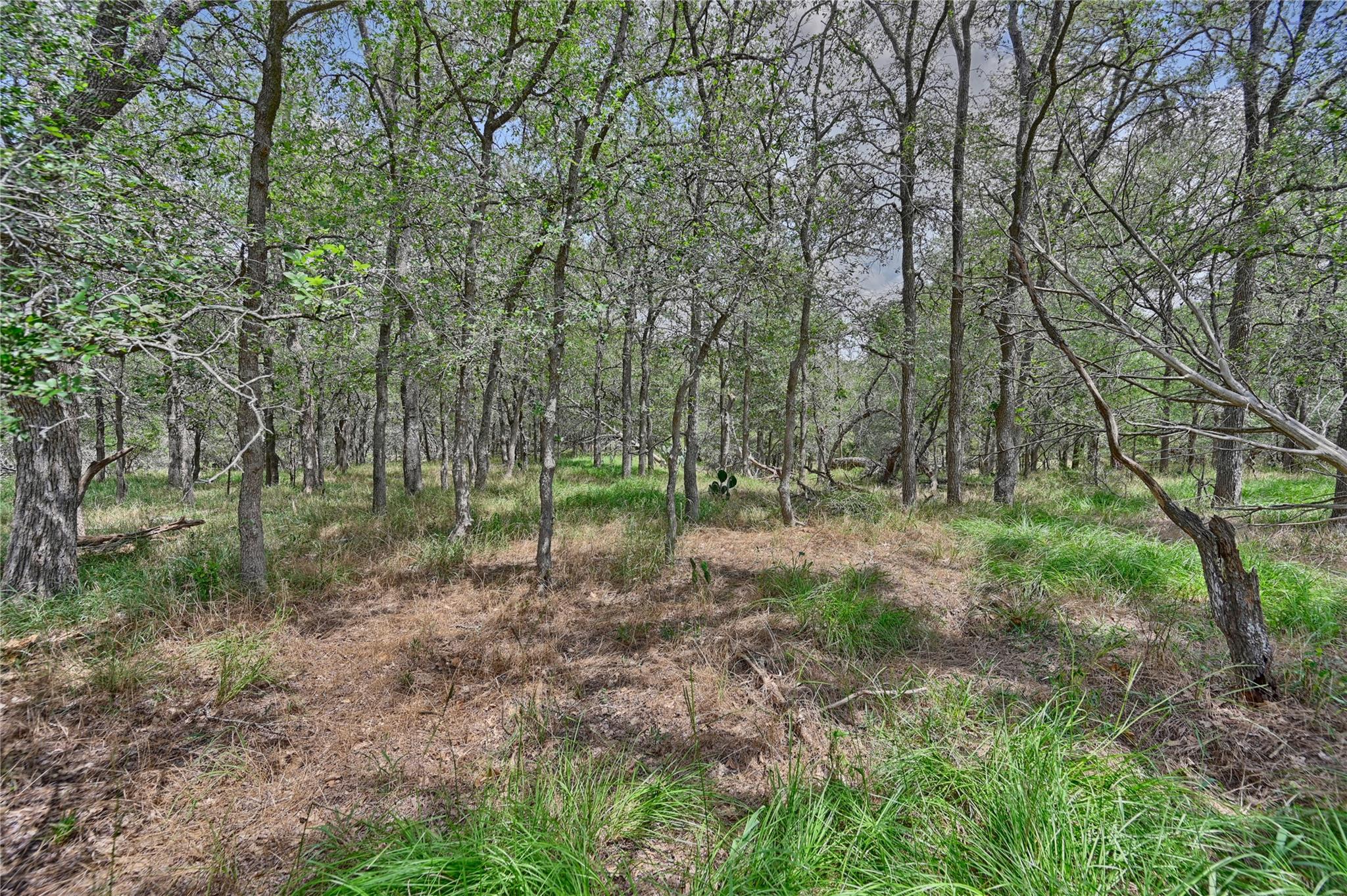 166 Sunny Day Dr, Red Rock, TX 78662