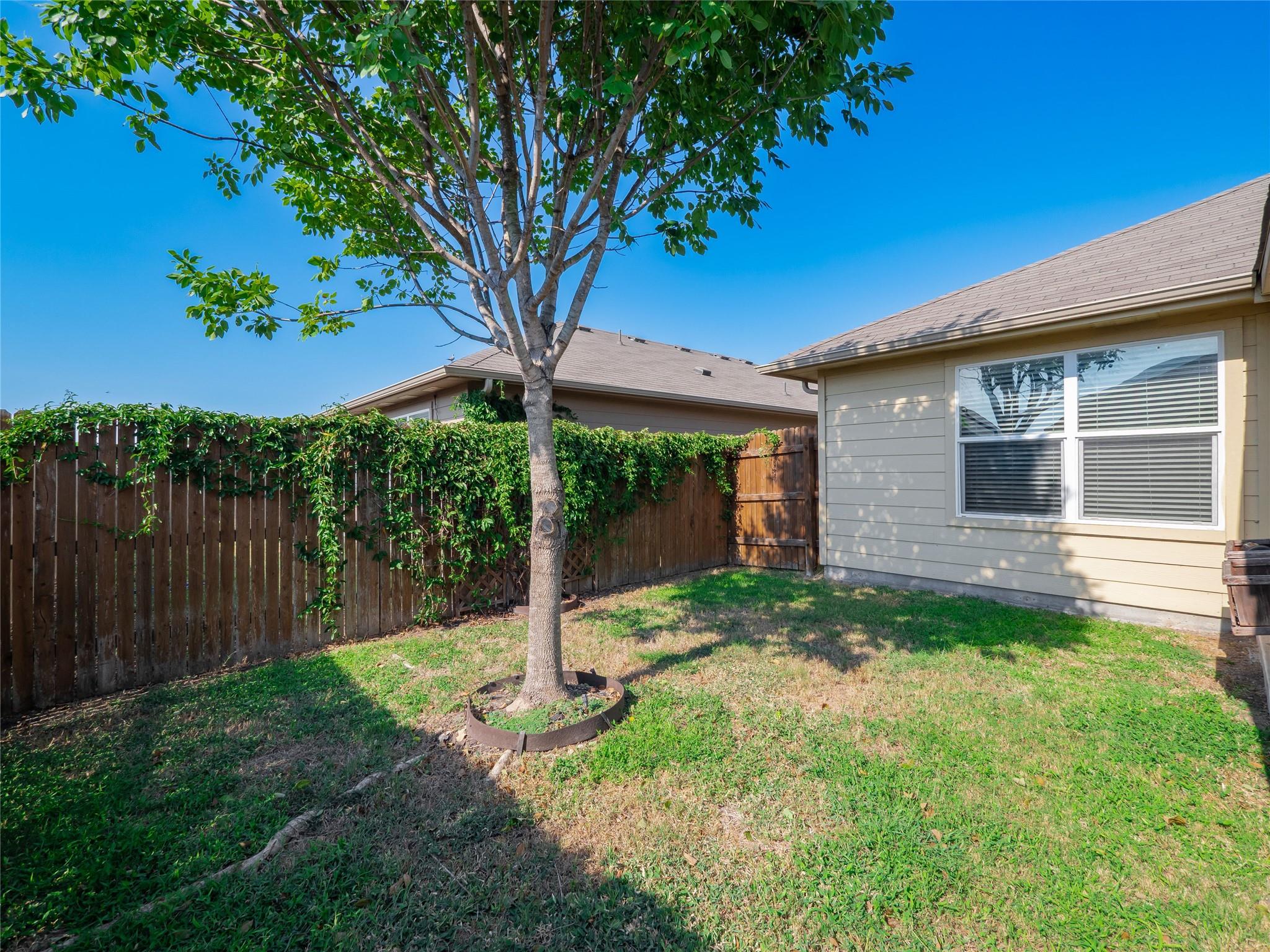 14501 Almodine Rd, Manor, TX 78653