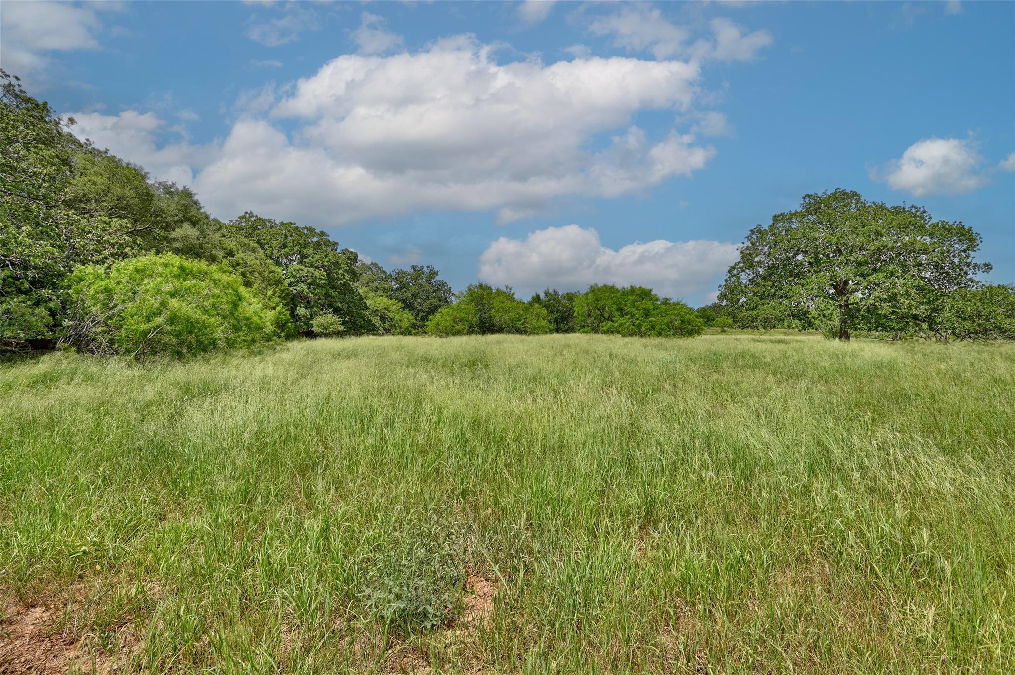 122 Starlight Path, Red Rock, TX 78662