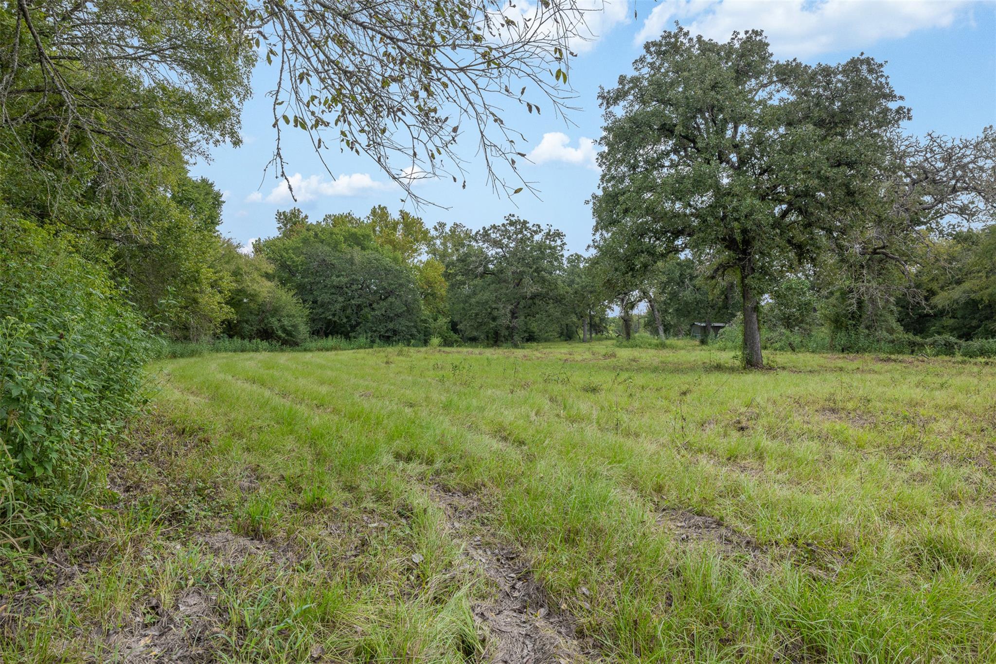 2997 County Road 258, Cameron, TX 76520