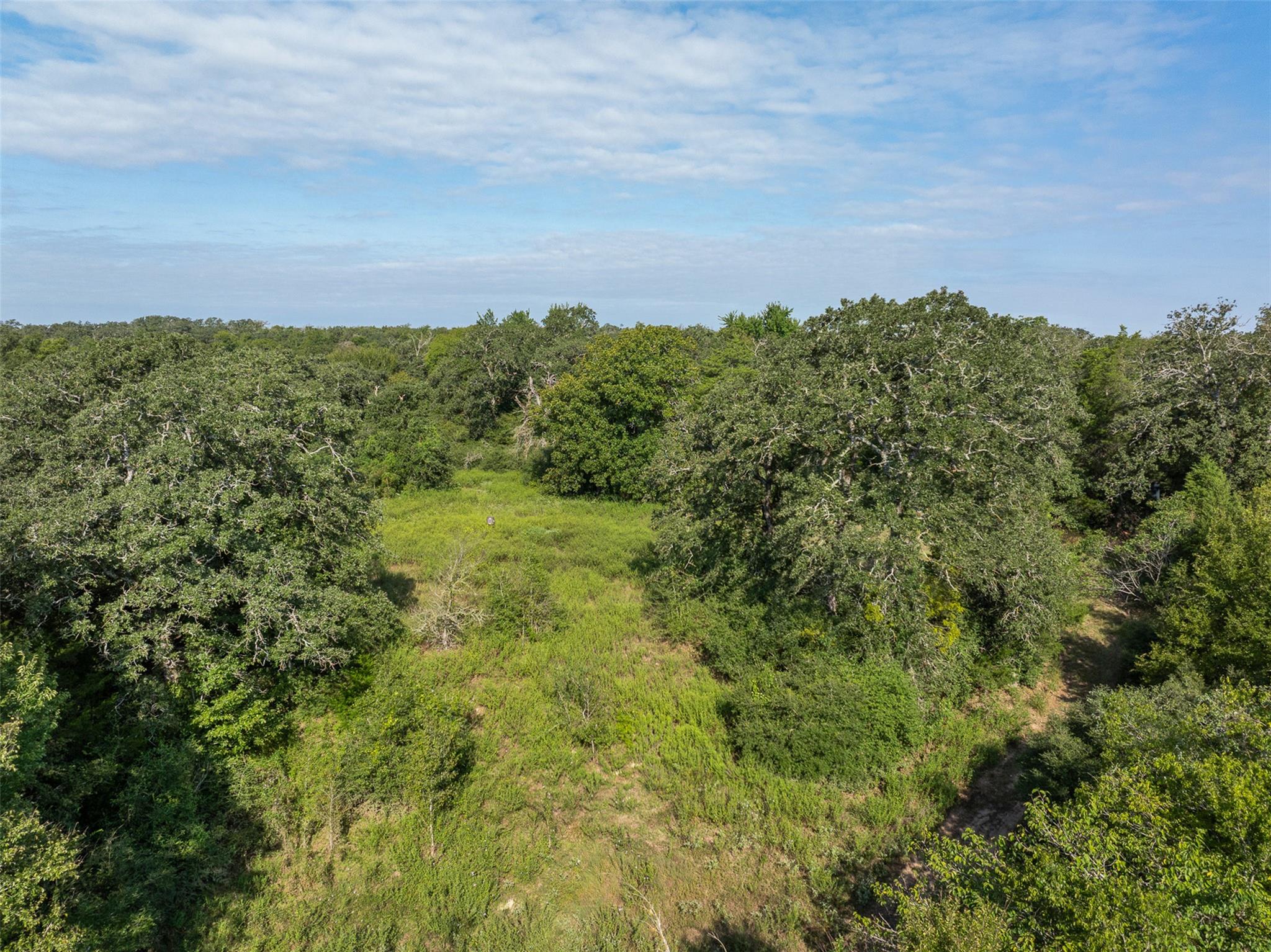 2997 County Road 258, Cameron, TX 76520