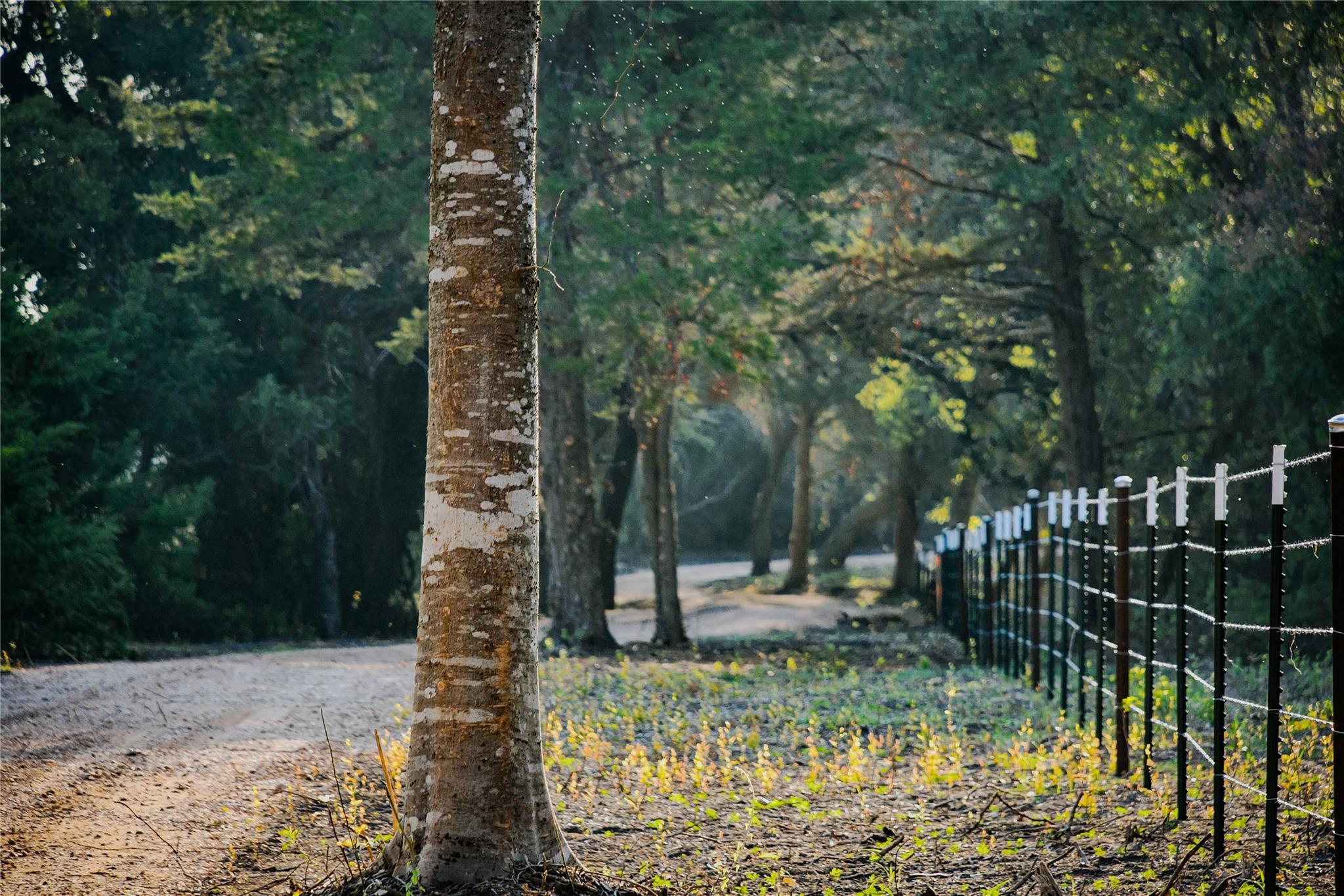 989 E Old Hallettsville Rd, Flatonia, TX 78941