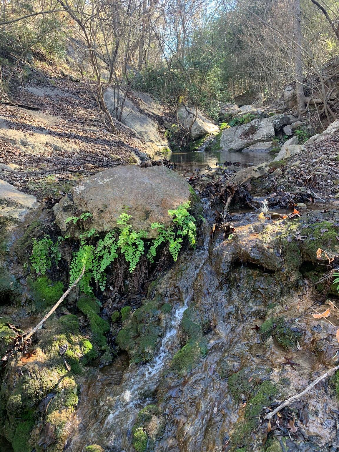 128 Hidden Springs Ct, Spicewood, TX 78669