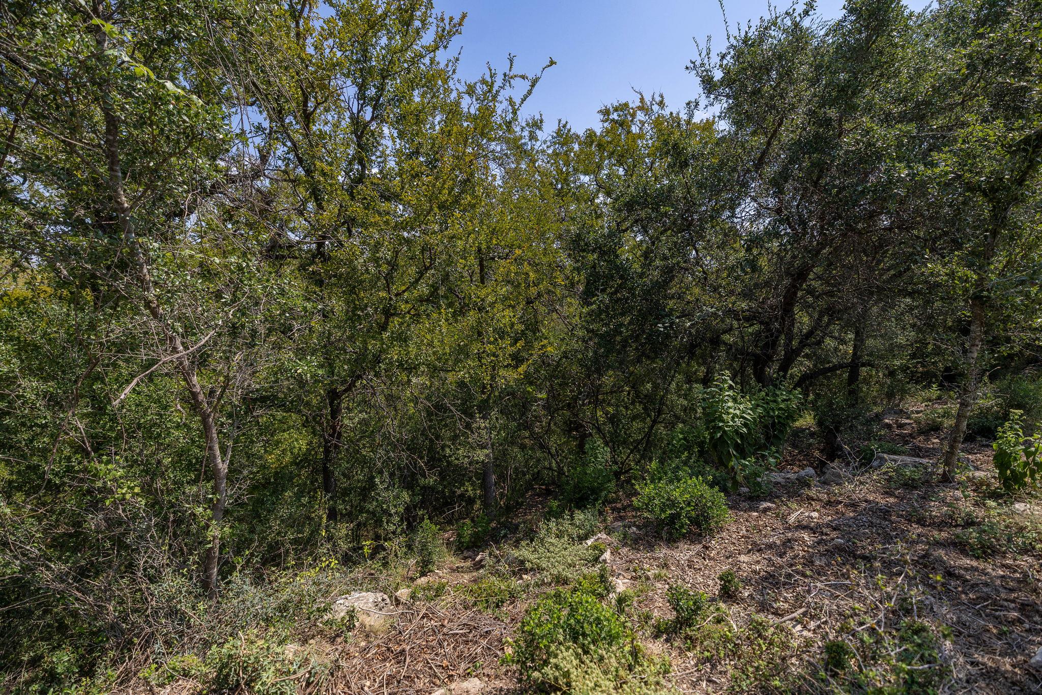 128 Hidden Springs Ct, Spicewood, TX 78669