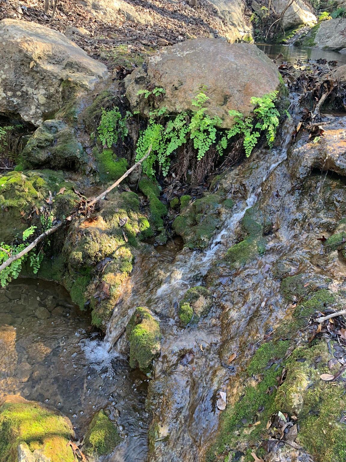 128 Hidden Springs Ct, Spicewood, TX 78669