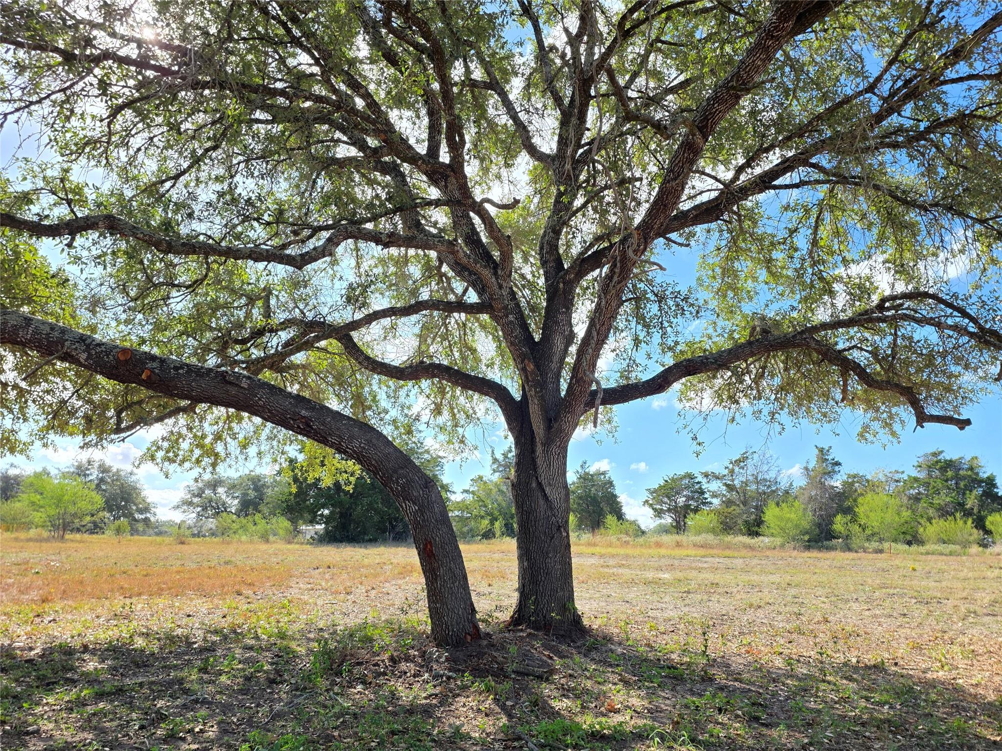 1109 E Old Hallettsville Rd, Flatonia, TX 78941