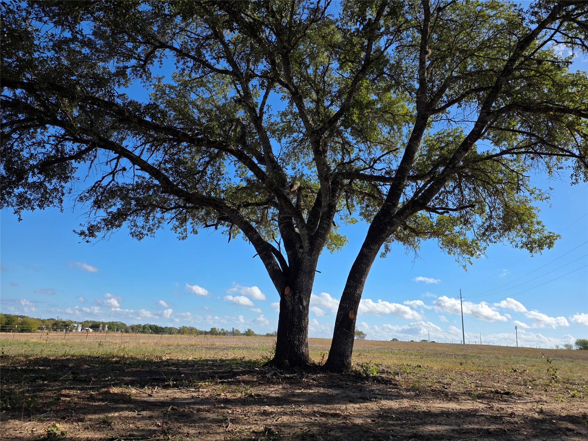 1109 E Old Hallettsville Rd, Flatonia, TX 78941