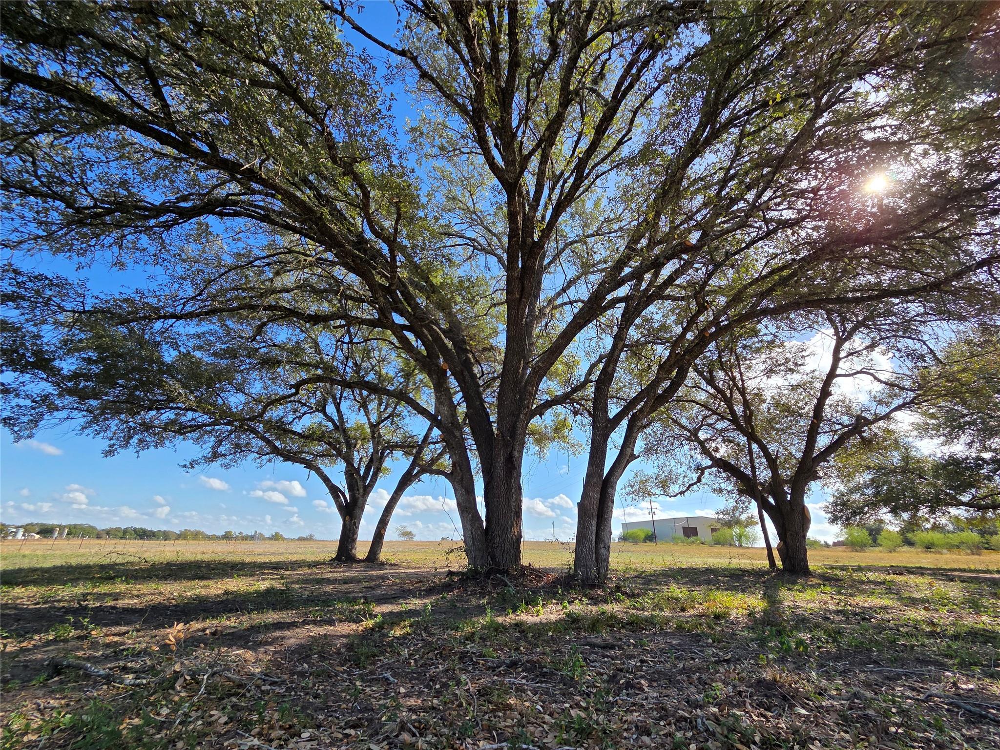 1109 E Old Hallettsville Rd, Flatonia, TX 78941