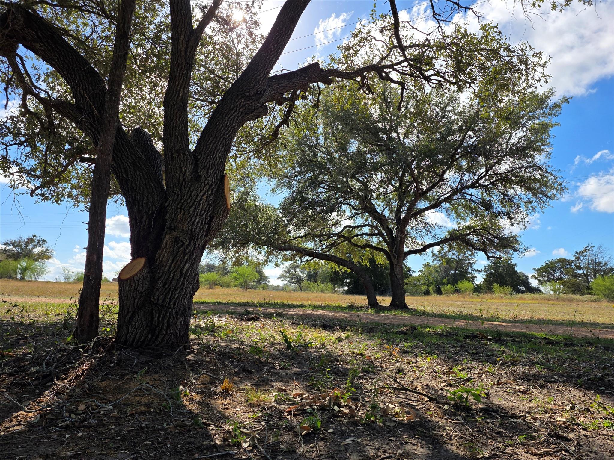 1109 E Old Hallettsville Rd, Flatonia, TX 78941