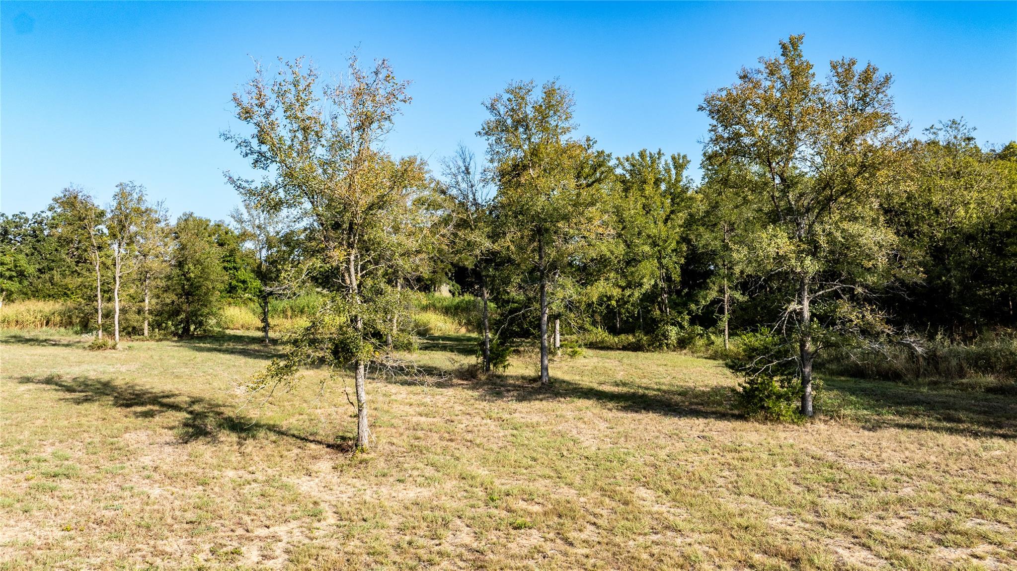 1329 Old Colony Line Rd, Dale, TX 78616