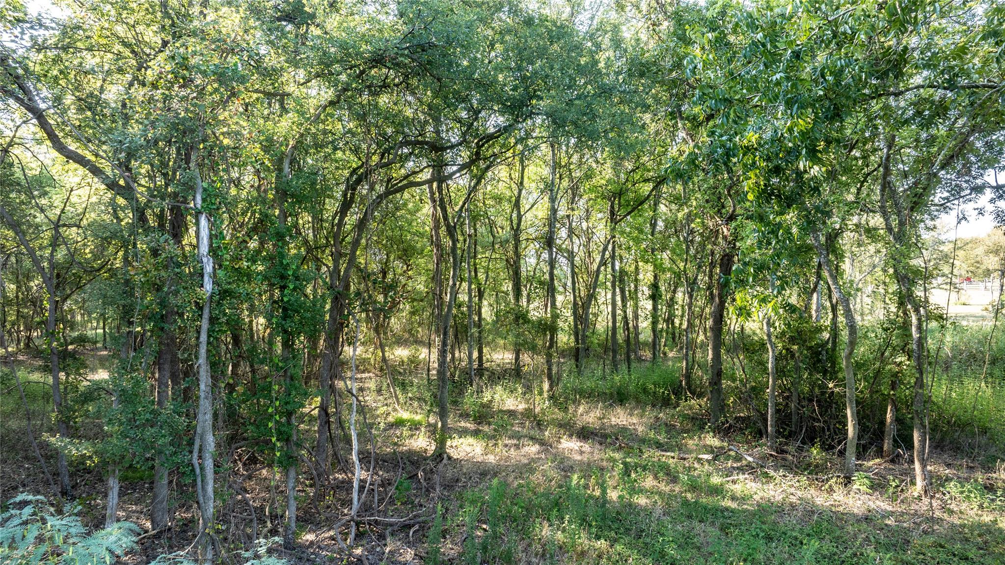 1329 Old Colony Line Rd, Dale, TX 78616