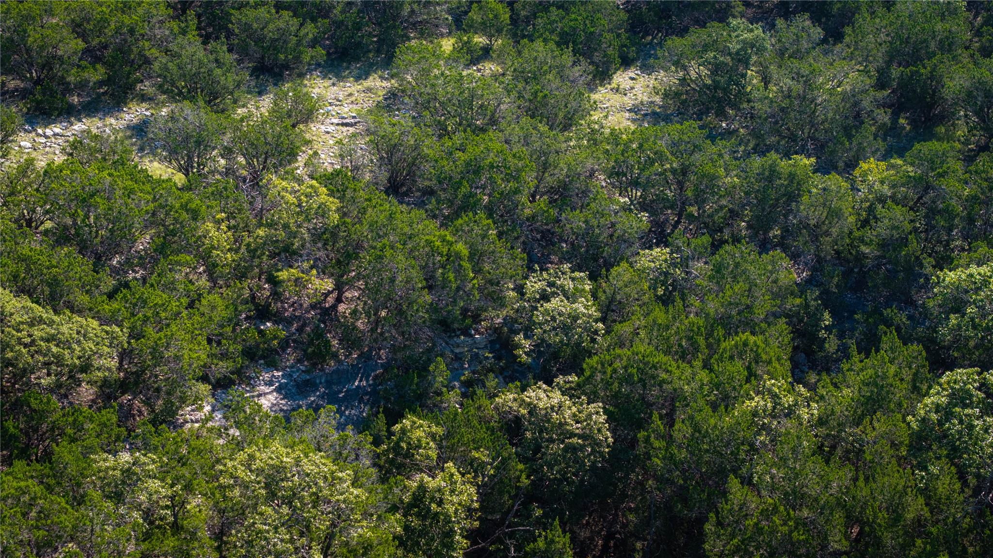 150 Branched Out Trail, Kerrville, TX 78028