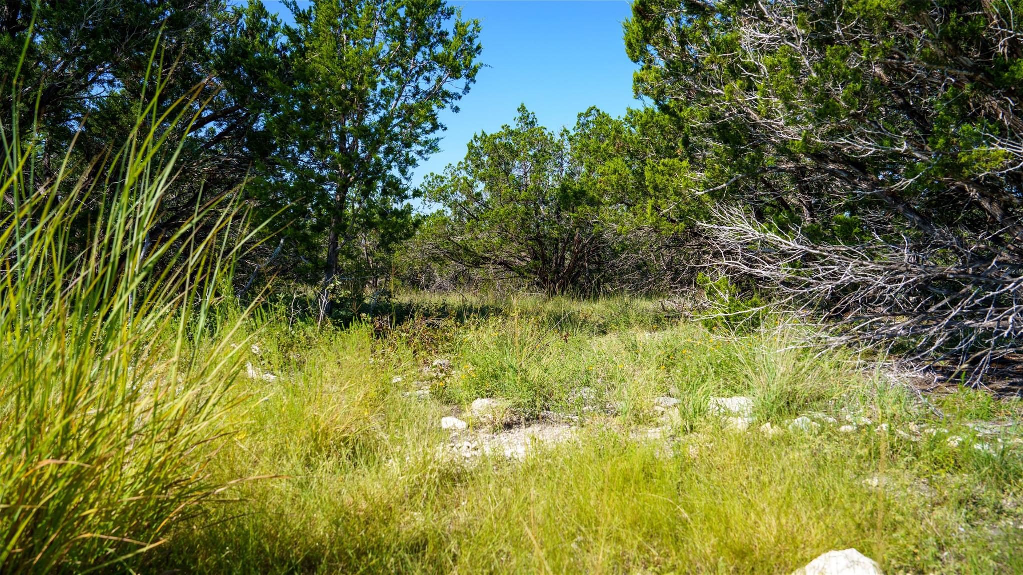 150 Branched Out Trail, Kerrville, TX 78028