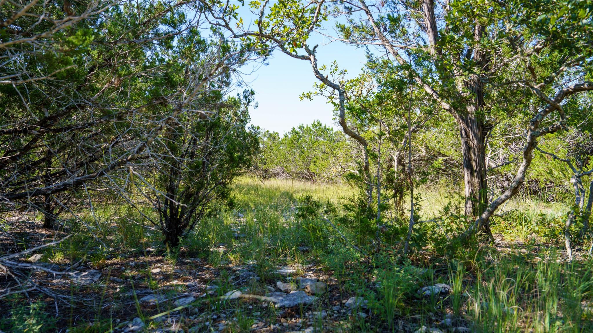 150 Branched Out Trail, Kerrville, TX 78028
