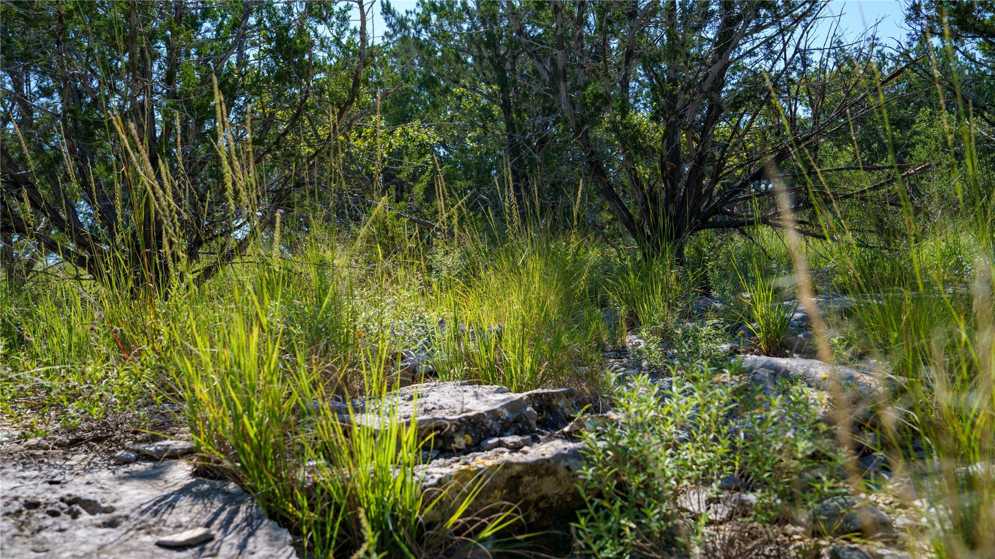 150 Branched Out Trail, Kerrville, TX 78028