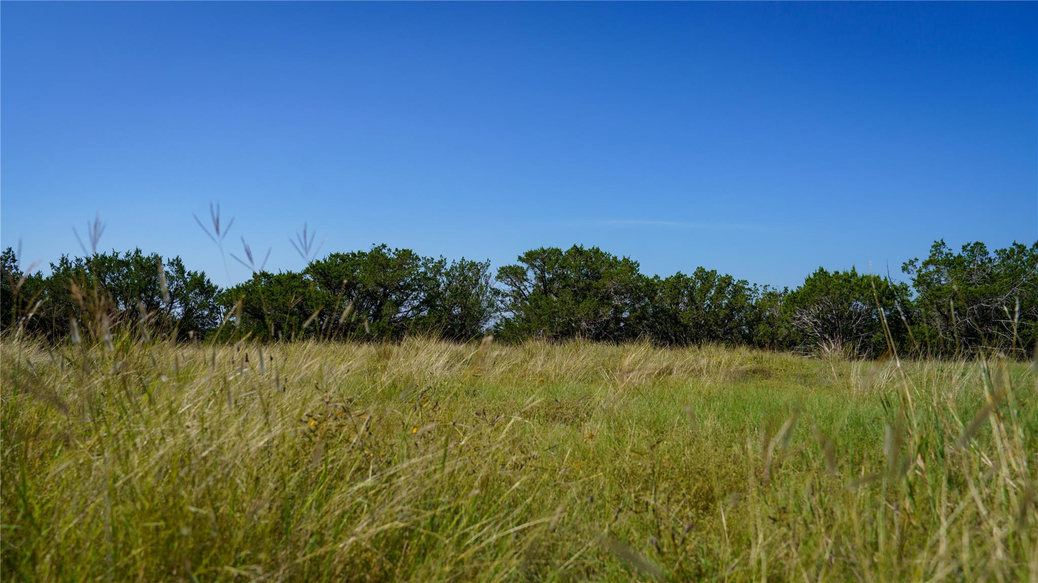 150 Branched Out Trail, Kerrville, TX 78028