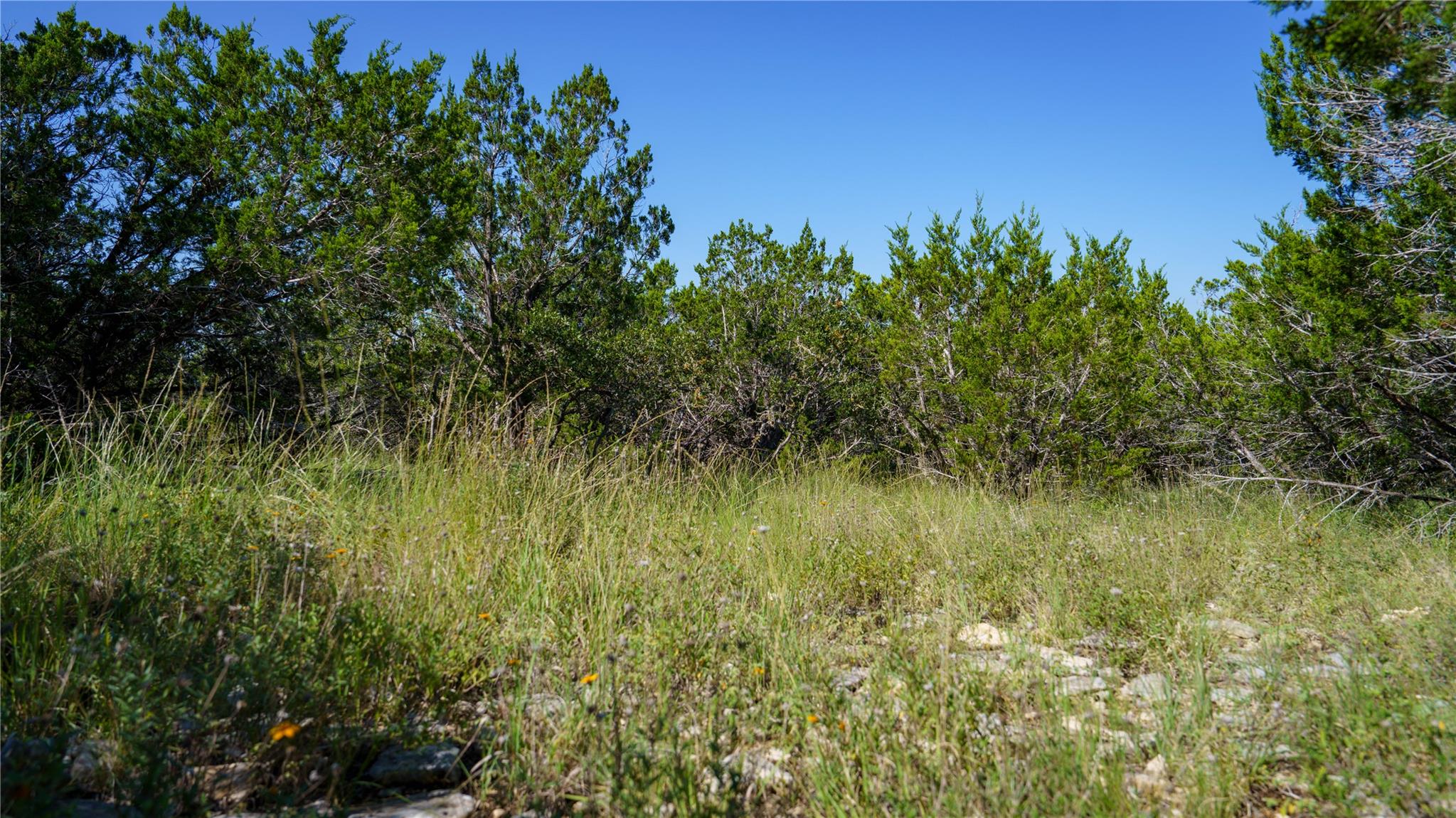 150 Branched Out Trail, Kerrville, TX 78028