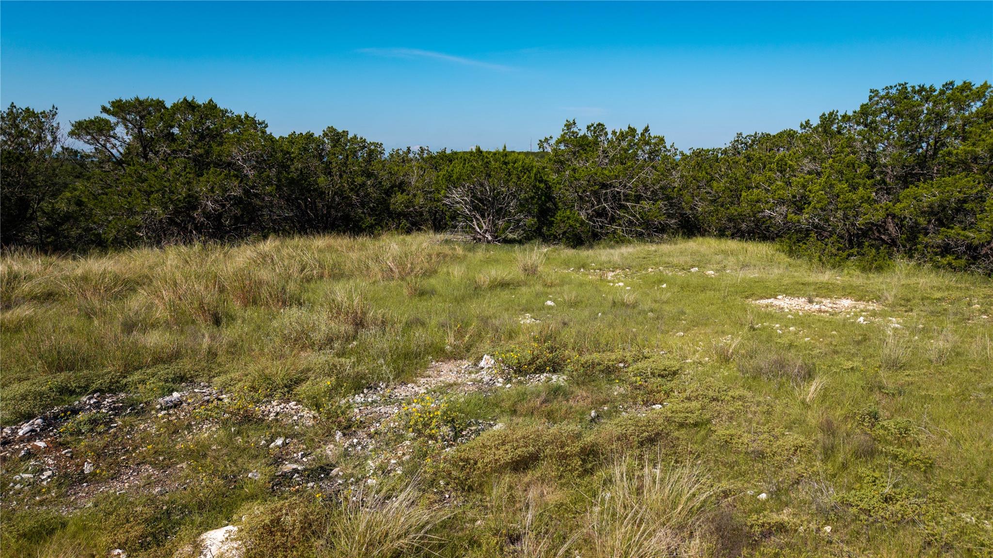 150 Branched Out Trail, Kerrville, TX 78028