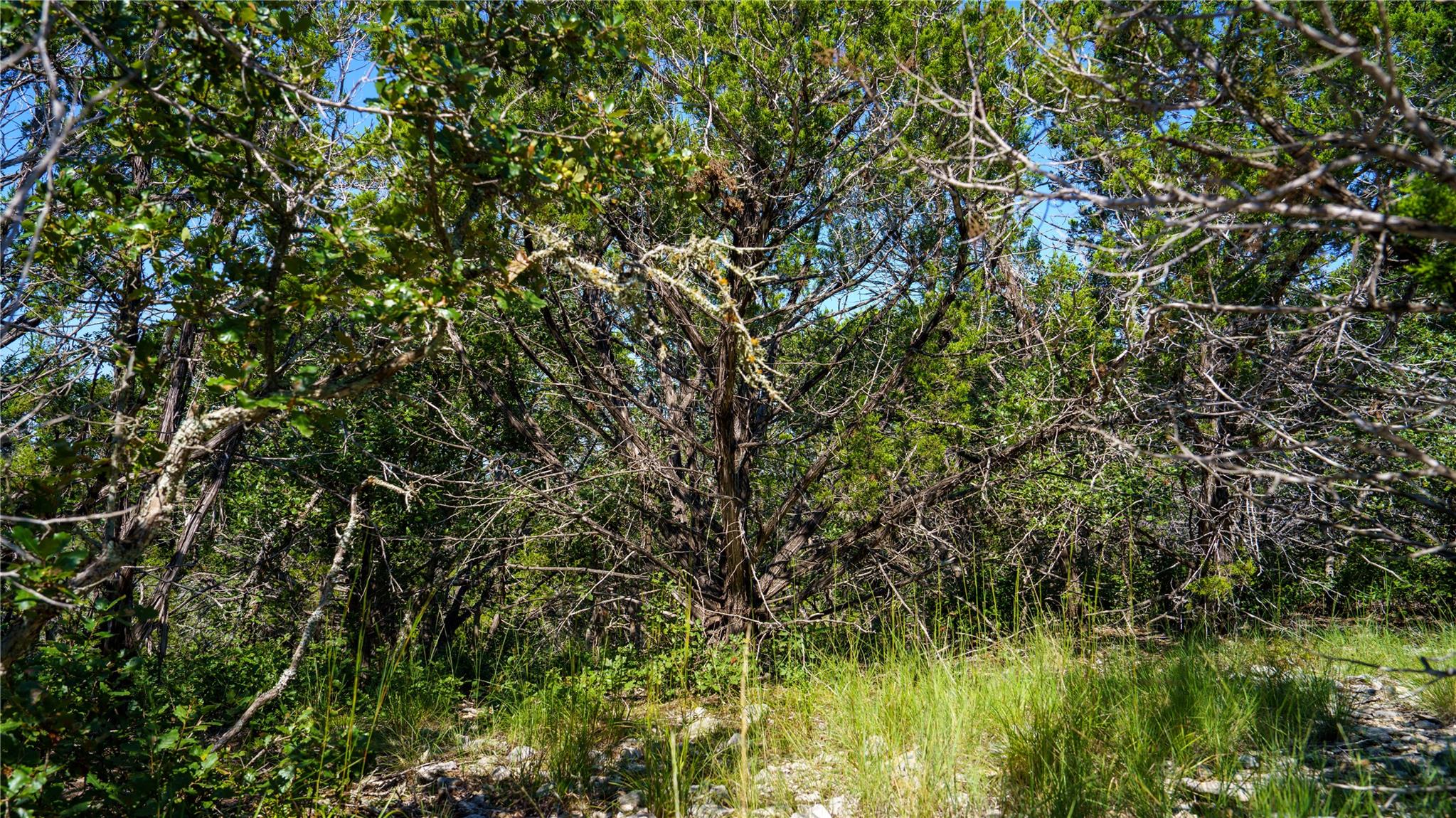 150 Branched Out Trail, Kerrville, TX 78028