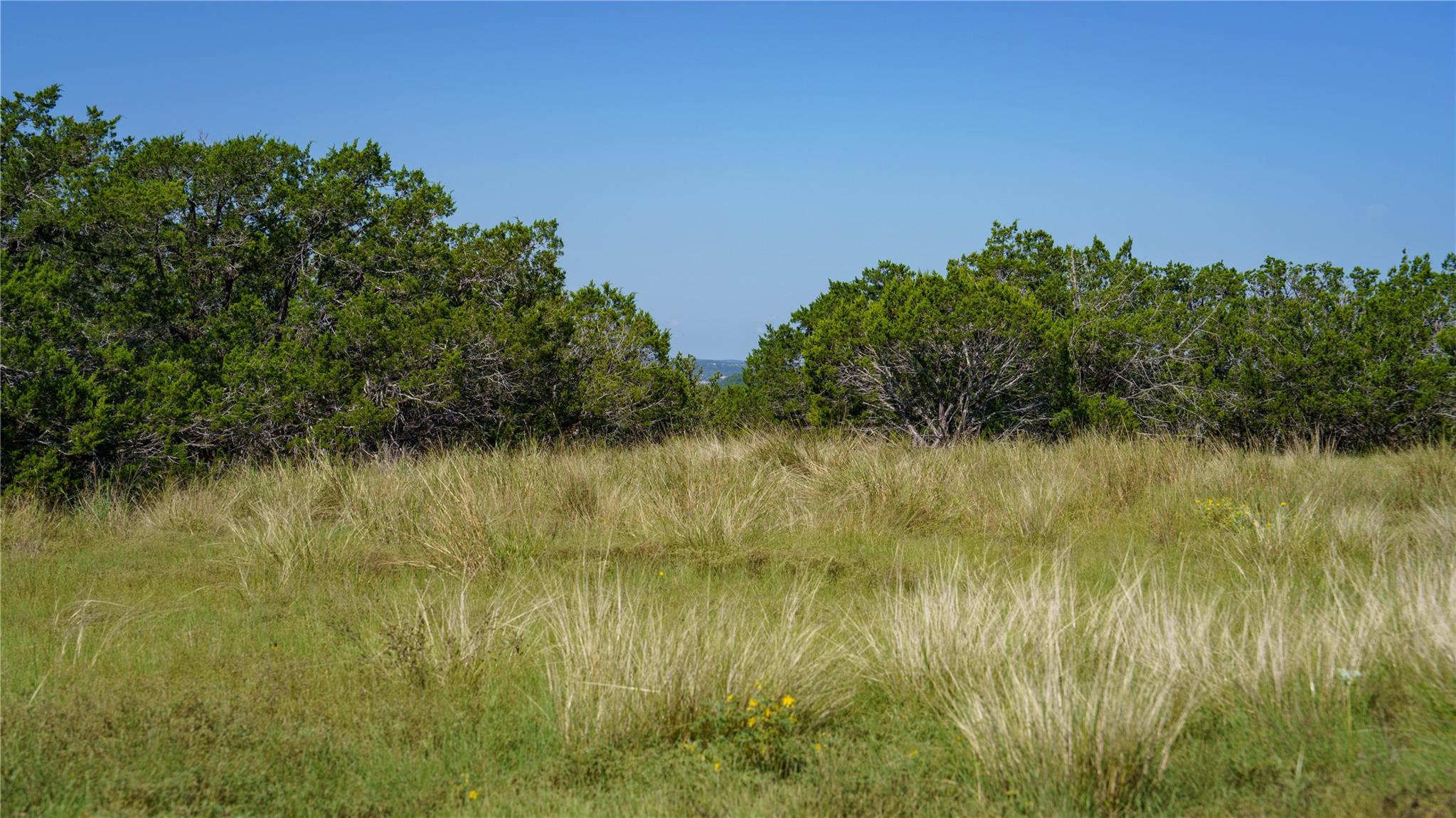 150 Branched Out Trail, Kerrville, TX 78028