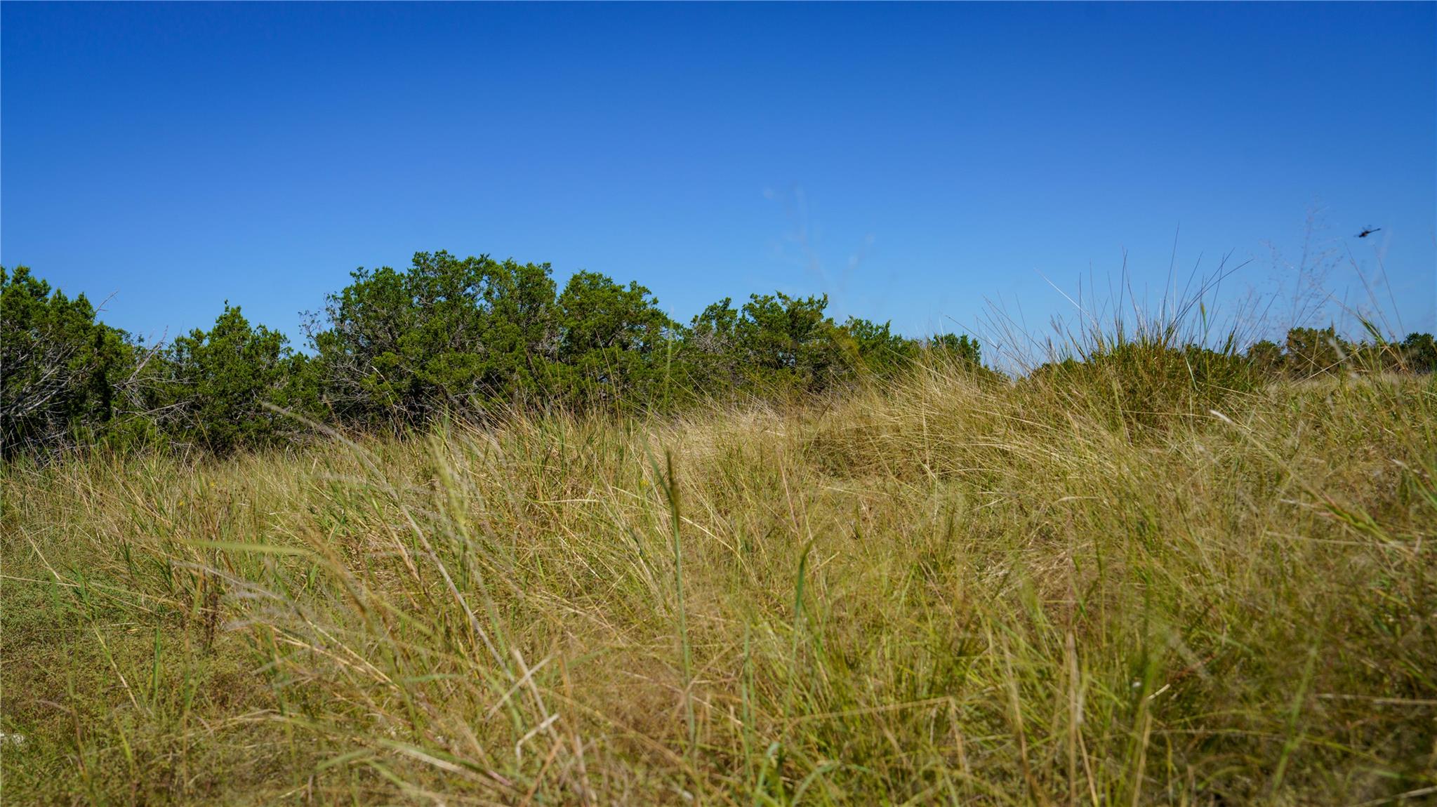 150 Branched Out Trail, Kerrville, TX 78028