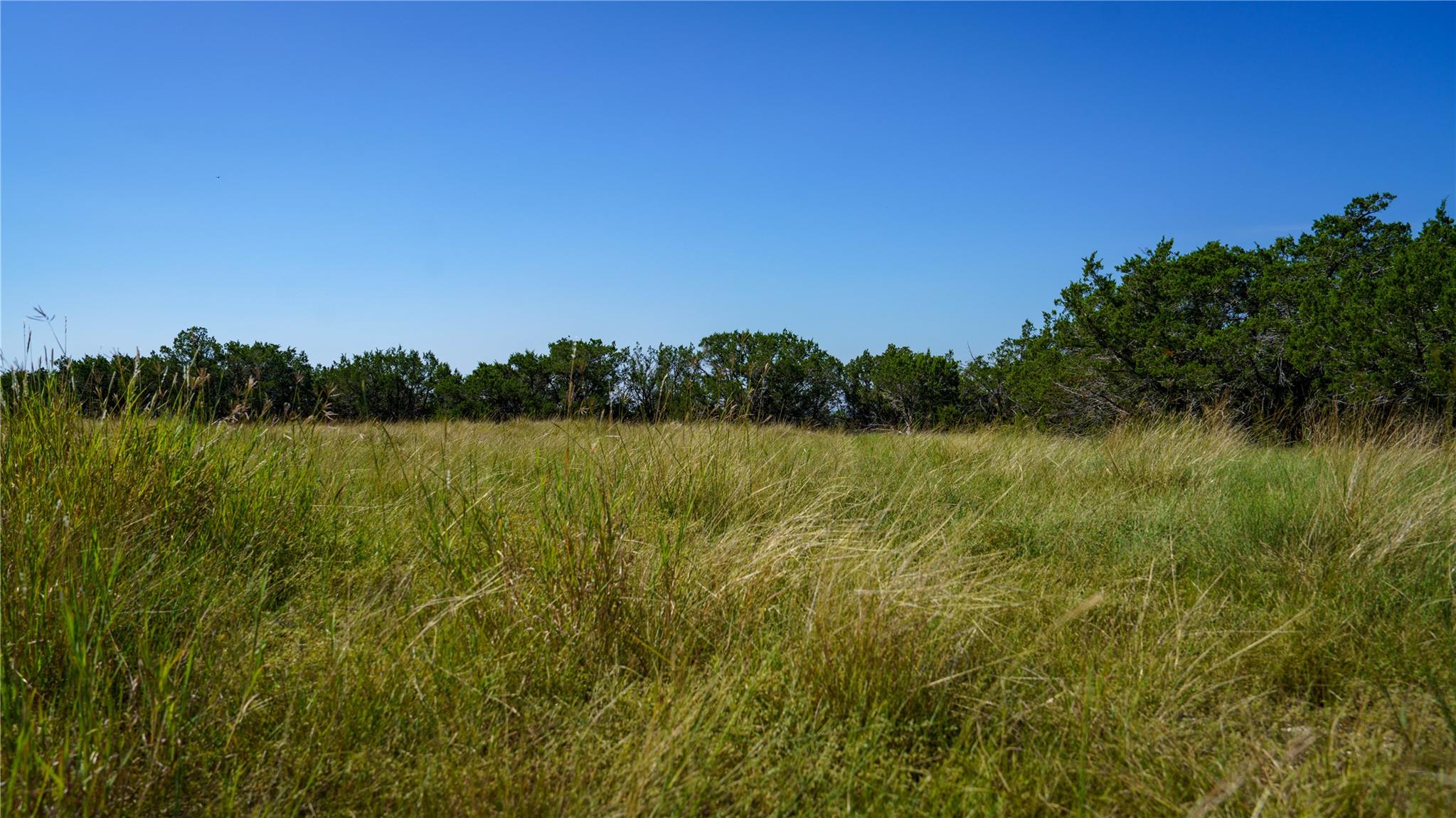 150 Branched Out Trail, Kerrville, TX 78028