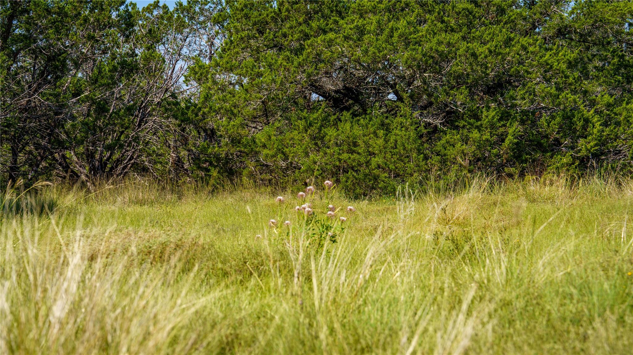 150 Branched Out Trail, Kerrville, TX 78028