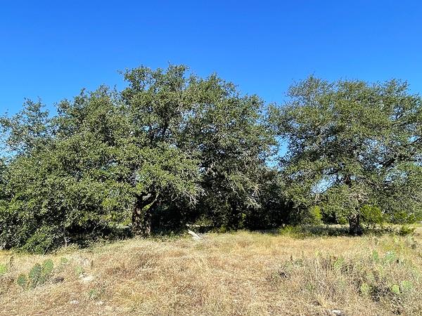 4547 County Road 108, Burnet, TX 78611