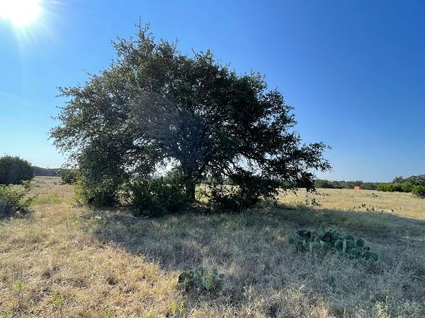 4547 County Road 108, Burnet, TX 78611