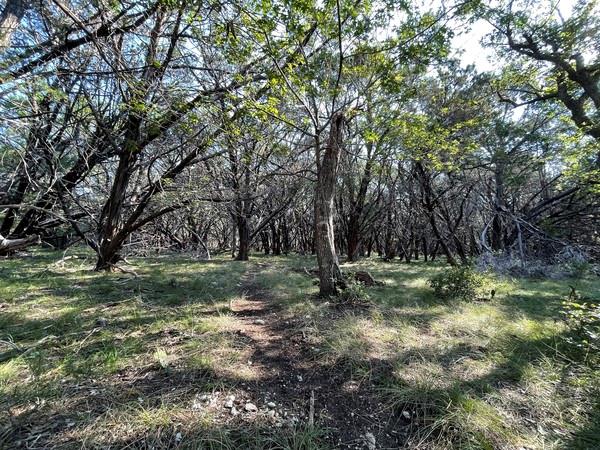 4547 County Road 108, Burnet, TX 78611