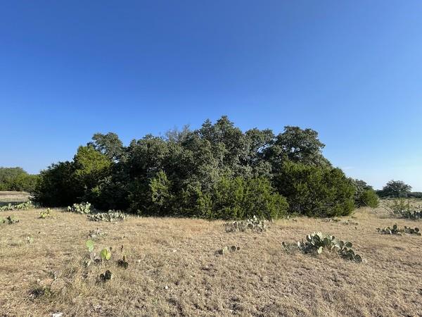 4547 County Road 108, Burnet, TX 78611