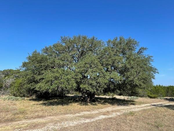 4547 County Road 108, Burnet, TX 78611