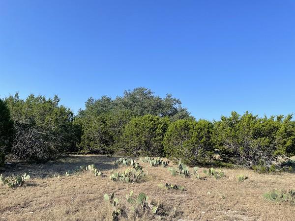 4547 County Road 108, Burnet, TX 78611