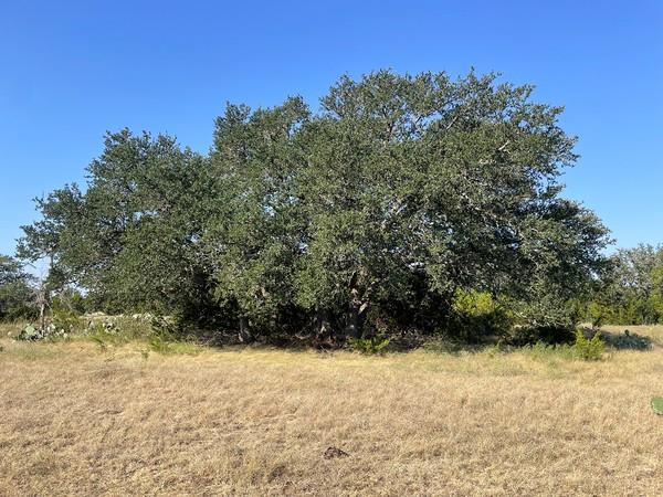 4547 County Road 108, Burnet, TX 78611
